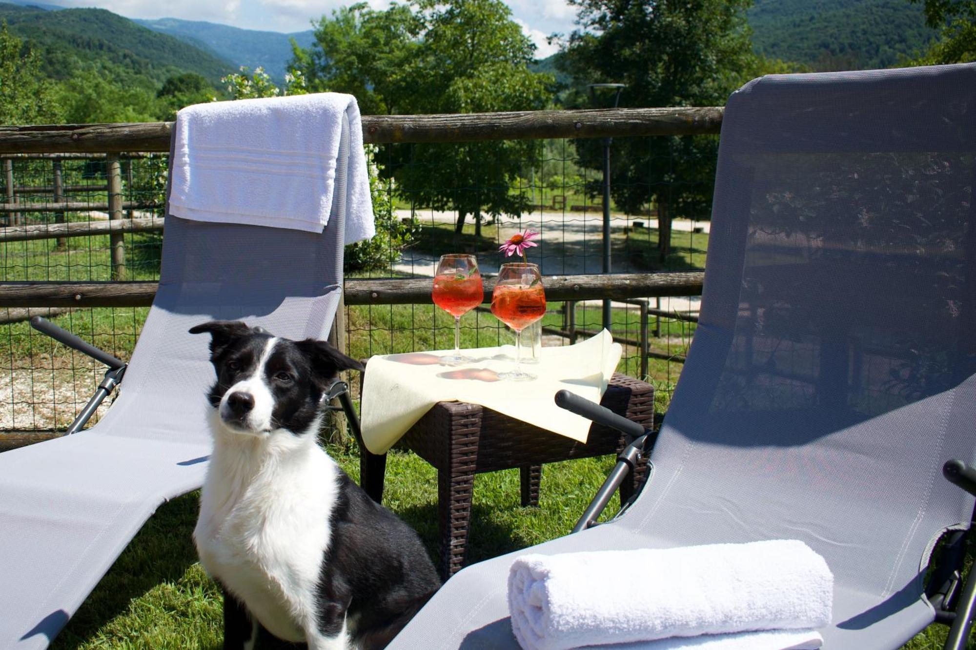 Agriturismo Monte Del Re San Pietro al Natisone Екстер'єр фото